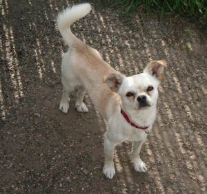 Adopted October 9