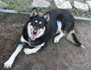 Adopted December 23