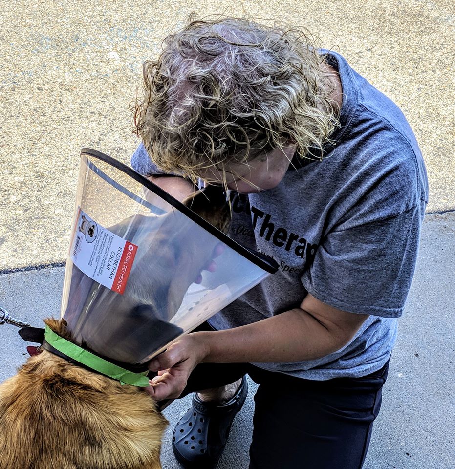 petfixers100