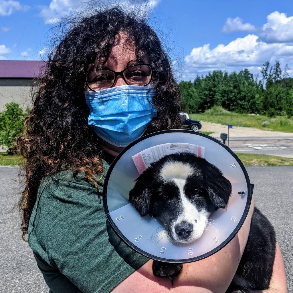 petfixers104