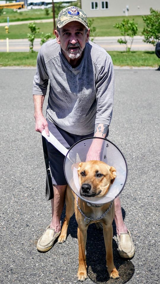 petfixers3