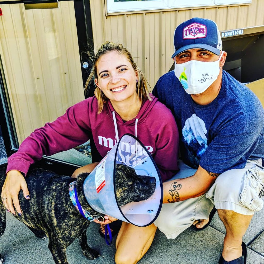 petfixers88