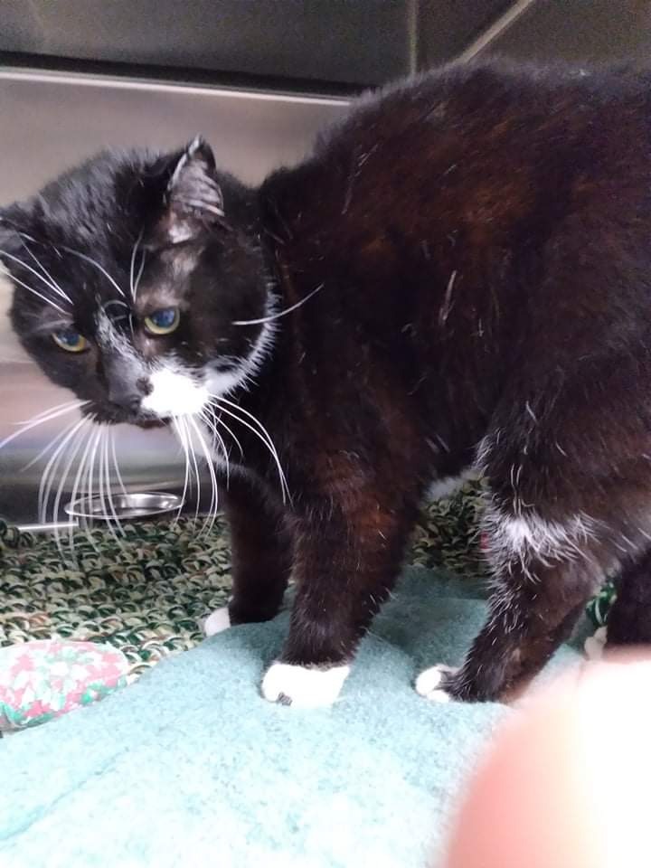 tux